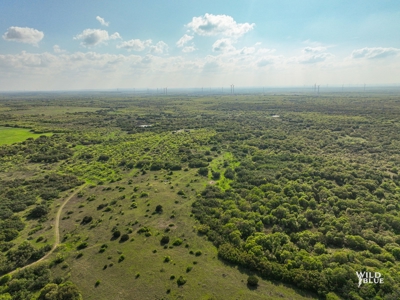 Turnkey Hunting Ranch and Cabin in Cisco, Texas on 66 Acres - image 15