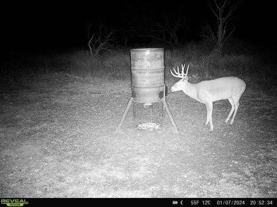 Turnkey Hunting Ranch and Cabin in Cisco, Texas on 66 Acres - image 41