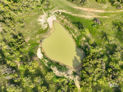 Turnkey Hunting Ranch and Cabin in Cisco, Texas on 66 Acres - image 29