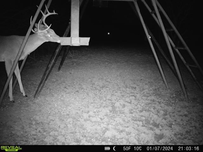 Turnkey Hunting Ranch and Cabin in Cisco, Texas on 66 Acres - image 13