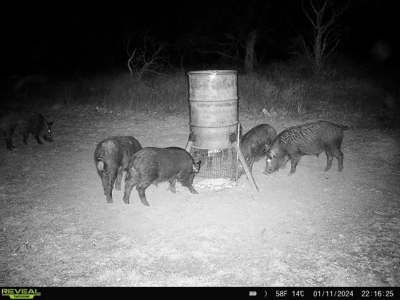 Turnkey Hunting Ranch and Cabin in Cisco, Texas on 66 Acres - image 46
