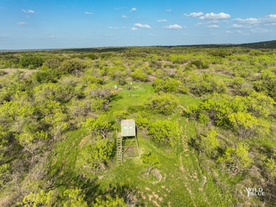 Turnkey Hunting Ranch and Cabin in Cisco, Texas on 66 Acres - image 19