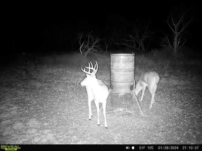 Turnkey Hunting Ranch and Cabin in Cisco, Texas on 66 Acres - image 14