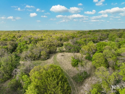 Turnkey Hunting Ranch and Cabin in Cisco, Texas on 66 Acres - image 24