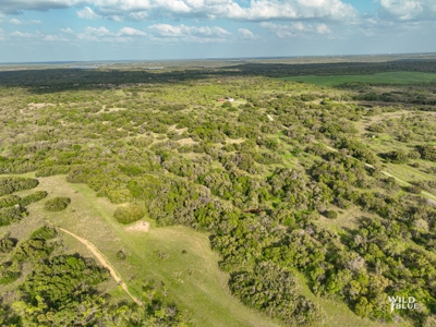 Turnkey Hunting Ranch and Cabin in Cisco, Texas on 66 Acres - image 30
