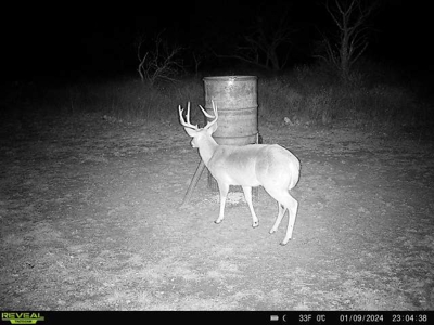 Turnkey Hunting Ranch and Cabin in Cisco, Texas on 66 Acres - image 40