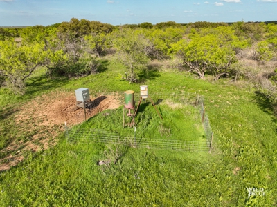Turnkey Hunting Ranch and Cabin in Cisco, Texas on 66 Acres - image 18