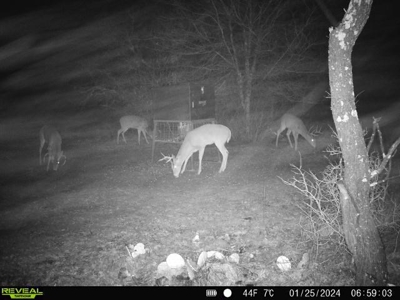 Turnkey Hunting Ranch and Cabin in Cisco, Texas on 66 Acres - image 45