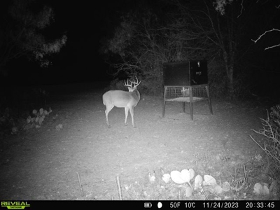 Turnkey Hunting Ranch and Cabin in Cisco, Texas on 66 Acres - image 42