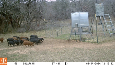 Turnkey Hunting Ranch and Cabin in Cisco, Texas on 66 Acres - image 44