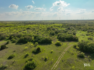 Turnkey Hunting Ranch and Cabin in Cisco, Texas on 66 Acres - image 16