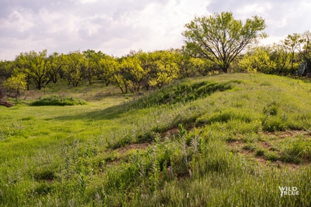 Turnkey Hunting Ranch and Cabin in Cisco, Texas on 66 Acres - image 35