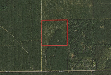 Town of Rome 40 acre timber lot for sale in Adams County WI - image 2