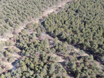 Town of Rome 40 acre timber lot for sale in Adams County WI - image 9