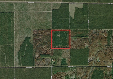 Town of Rome 40 acre timber lot for sale in Adams County WI - image 2