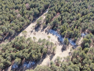 Town of Rome 40 acre timber lot for sale in Adams County WI - image 5