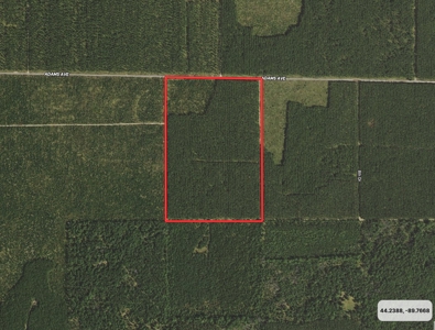 Town of Rome 60 acre timber lot for sale in Adams County WI - image 2