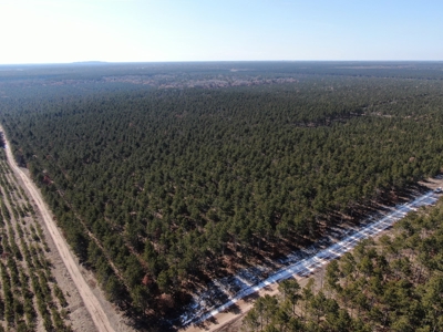 Town of Rome 60 acre timber lot for sale in Adams County WI - image 11