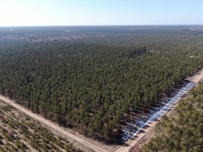 Town of Rome 60 acre timber lot for sale in Adams County WI - image 1