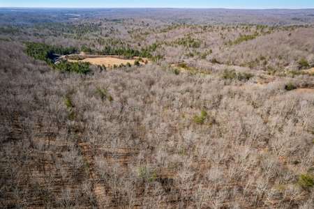 Prime 123.75 Ac. Property! - image 15