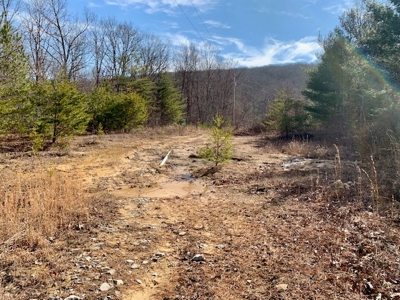 Prime 123.75 Ac. Property! - image 24