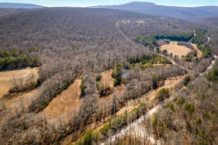 Prime 123.75 Ac. Property! - image 6