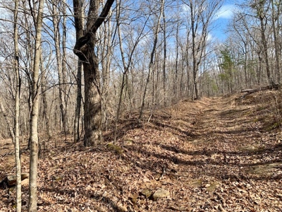 Prime 123.75 Ac. Property! - image 38