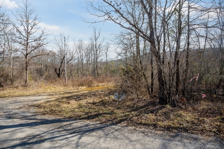 Prime 123.75 Ac. Property! - image 19