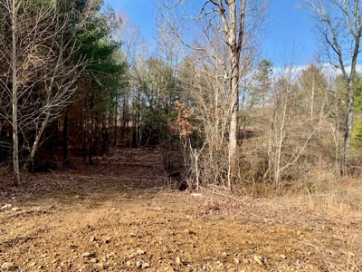 Prime 123.75 Ac. Property! - image 30