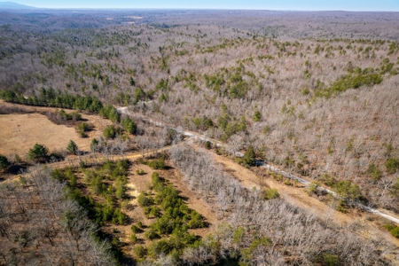 Prime 123.75 Ac. Property! - image 16