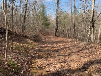 Prime 123.75 Ac. Property! - image 44