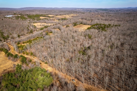 Prime 123.75 Ac. Property! - image 12