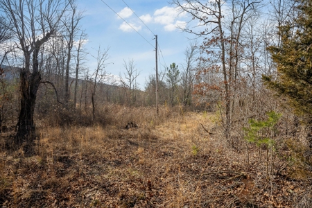 Prime 123.75 Ac. Property! - image 18