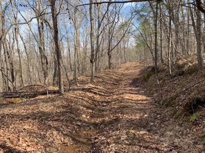 Prime 123.75 Ac. Property! - image 37