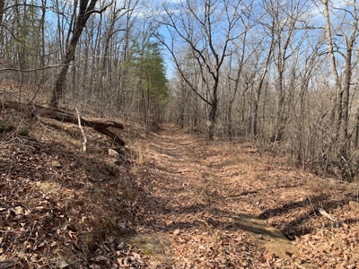 Prime 123.75 Ac. Property! - image 41