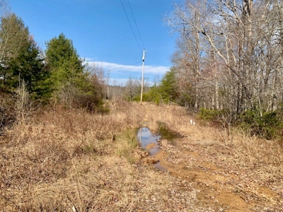Prime 123.75 Ac. Property! - image 29