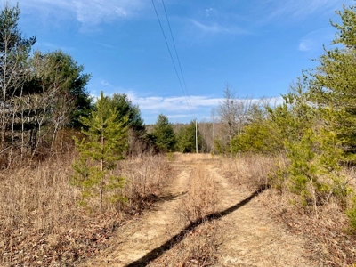 Prime 123.75 Ac. Property! - image 26