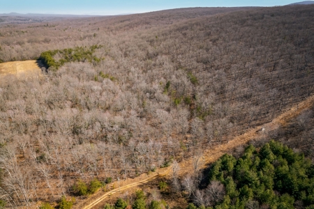 Prime 123.75 Ac. Property! - image 10