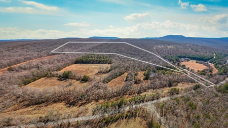 Prime 123.75 Ac. Property! - image 1