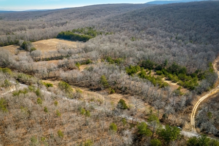 Prime 123.75 Ac. Property! - image 5