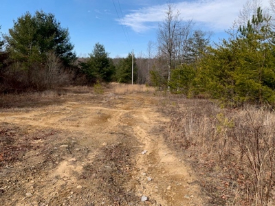 Prime 123.75 Ac. Property! - image 46