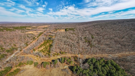 Prime 123.75 Ac. Property! - image 11