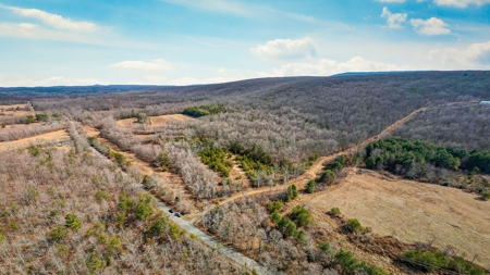 Prime 123.75 Ac. Property! - image 4