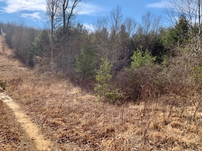 Prime 123.75 Ac. Property! - image 27