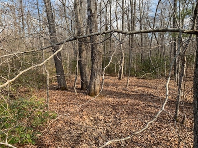 Prime 123.75 Ac. Property! - image 33