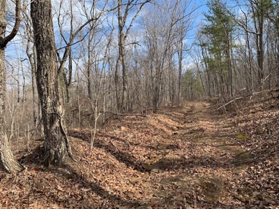 Prime 123.75 Ac. Property! - image 43