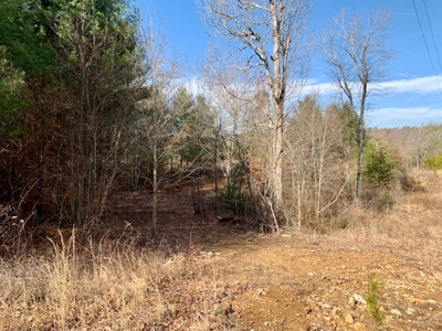 Prime 123.75 Ac. Property! - image 31
