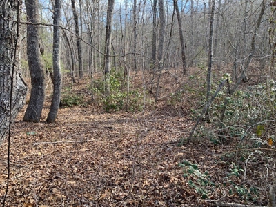 Prime 123.75 Ac. Property! - image 34