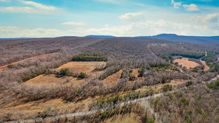 Prime 123.75 Ac. Property! - image 7