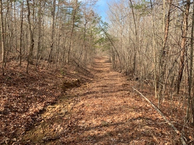 Prime 123.75 Ac. Property! - image 45